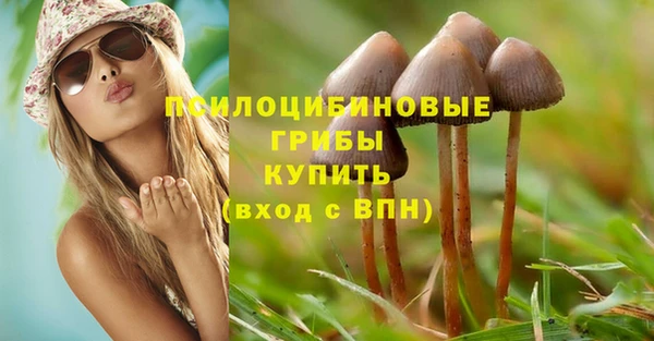 мяу мяу мука Нязепетровск