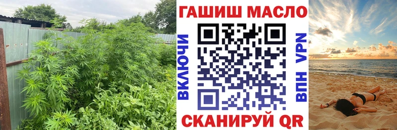 ОМГ ОМГ Павловск ТГК вейп