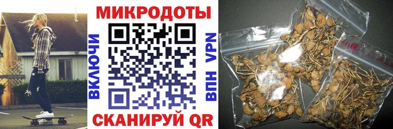 Галлюциногенные грибы Psilocybine cubensis  Павловск 